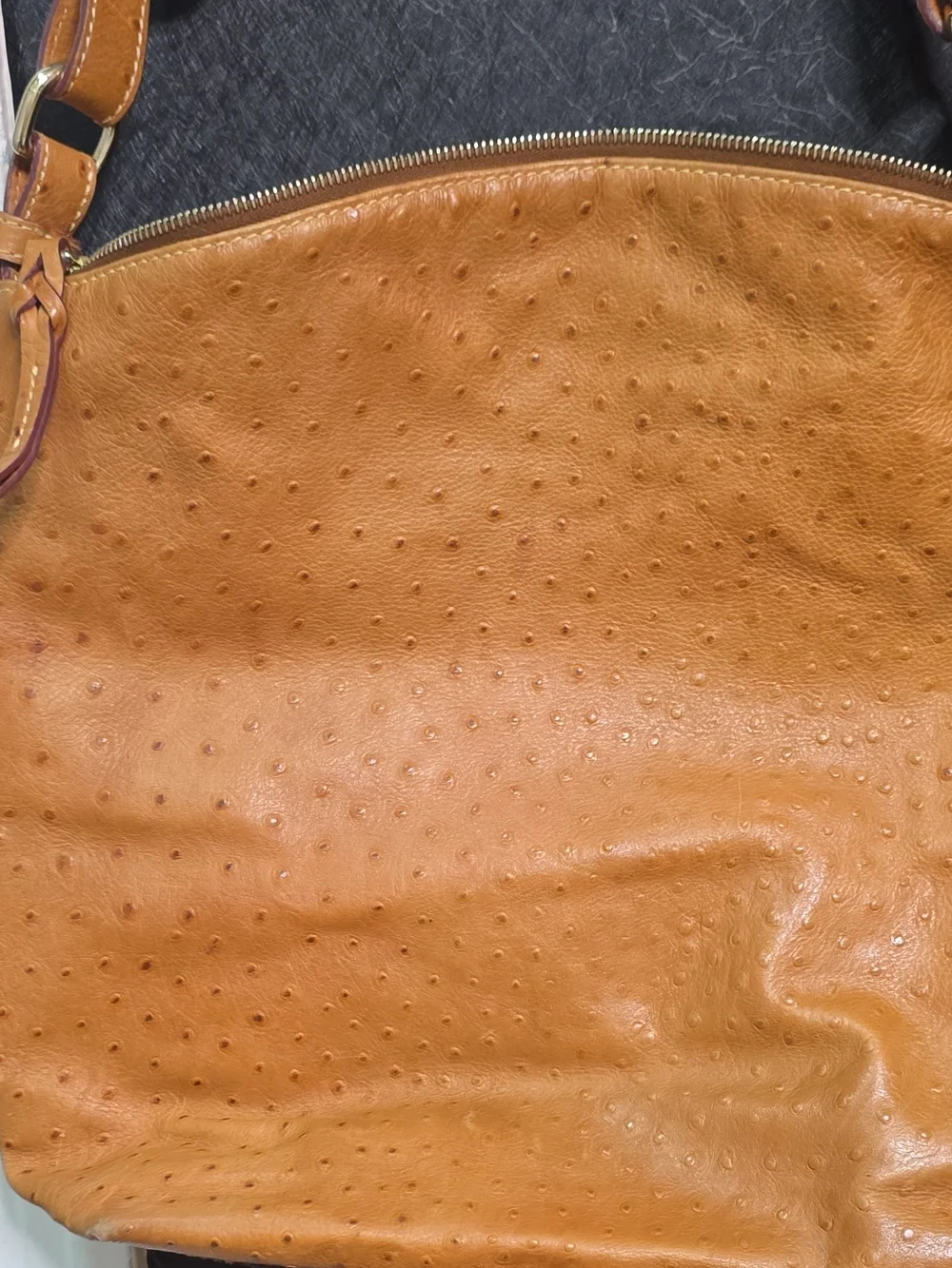 Dooney & Bourke Tan Ostrich-Texture Shoulder Bag with Logo Plaque
